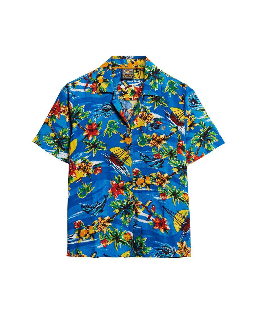 Blue Dolphin Ocean