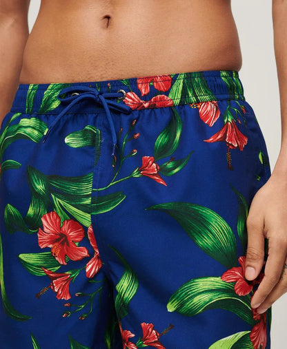 Hibiscus Royal Blue