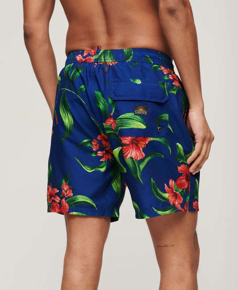 Hibiscus Royal Blue