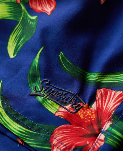 Hibiscus Royal Blue