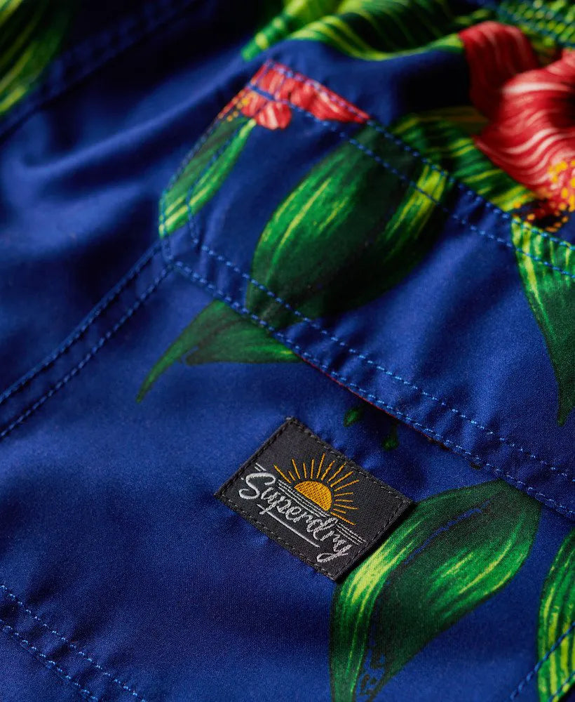 Hibiscus Royal Blue