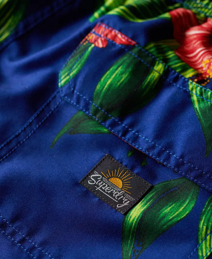 Hibiscus Royal Blue