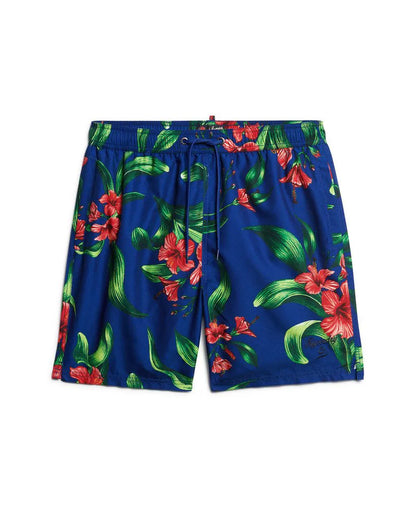 Hibiscus Royal Blue