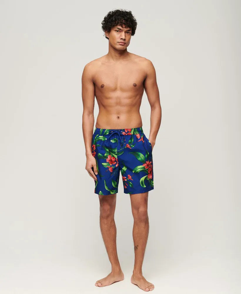 Hibiscus Royal Blue