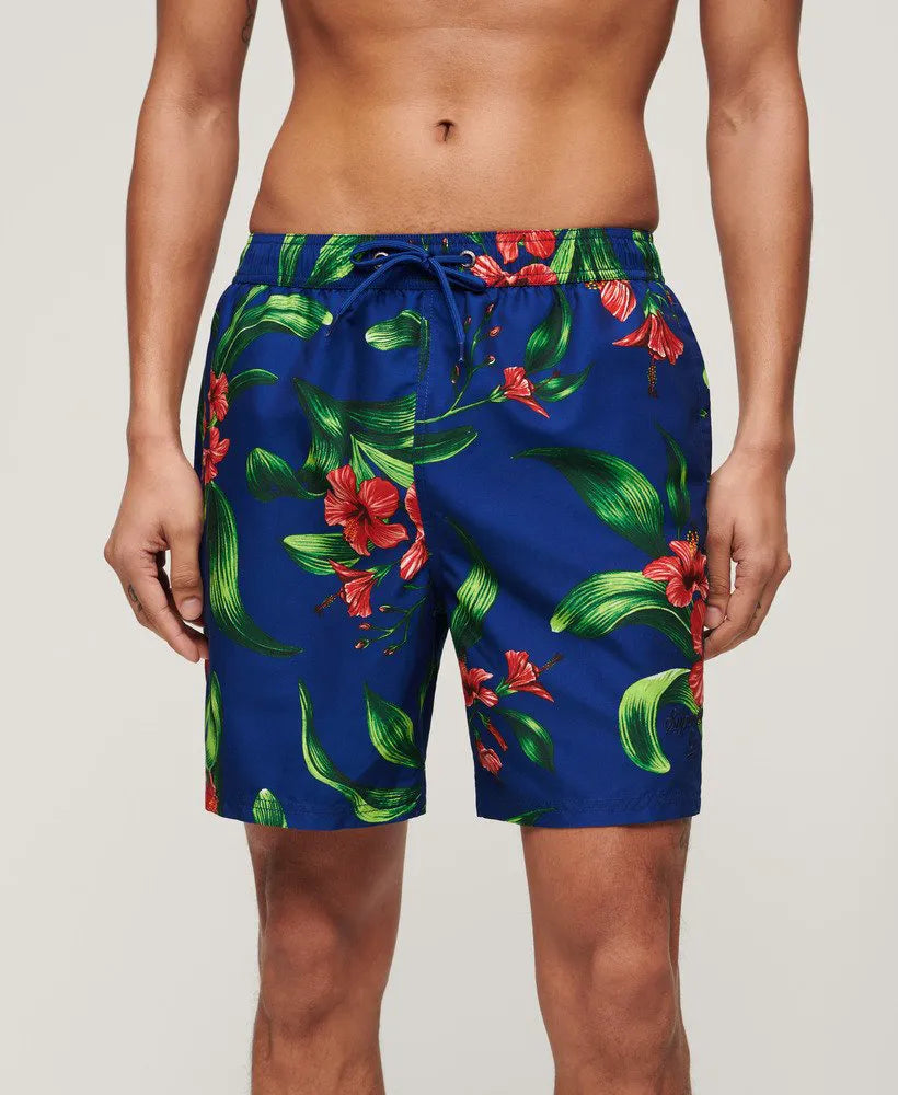 Hibiscus Royal Blue