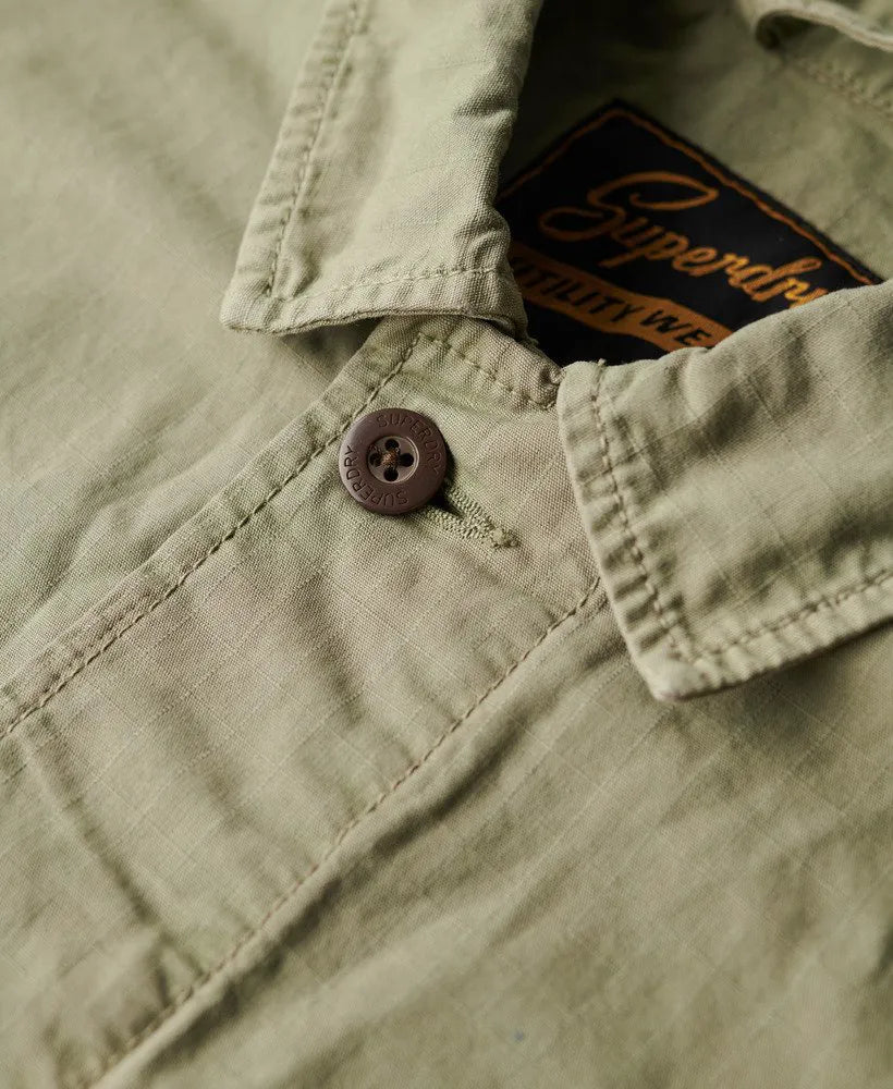 Light Khaki Green