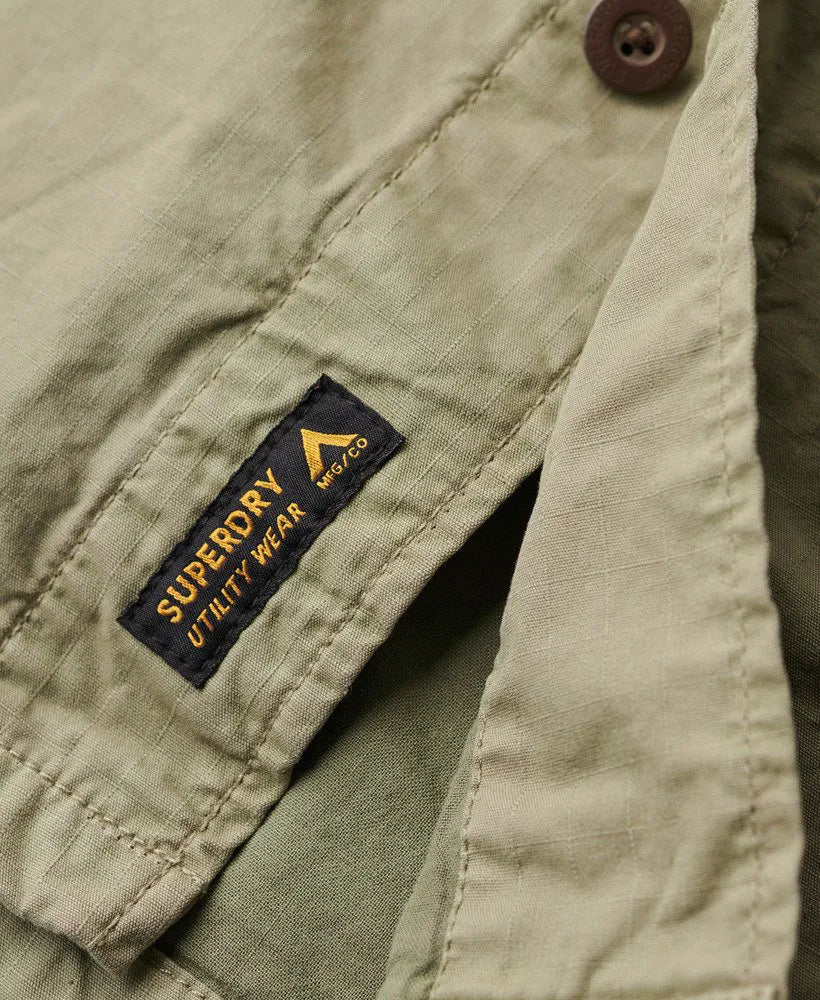 Light Khaki Green