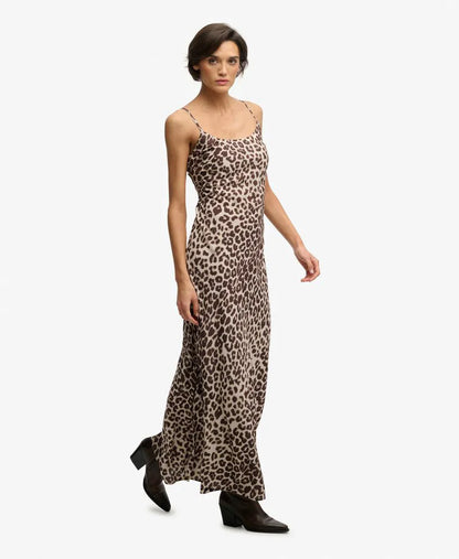 Brown Leopard
