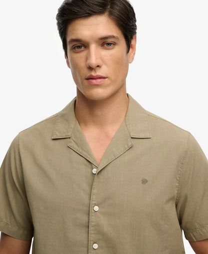 Light Khaki Green