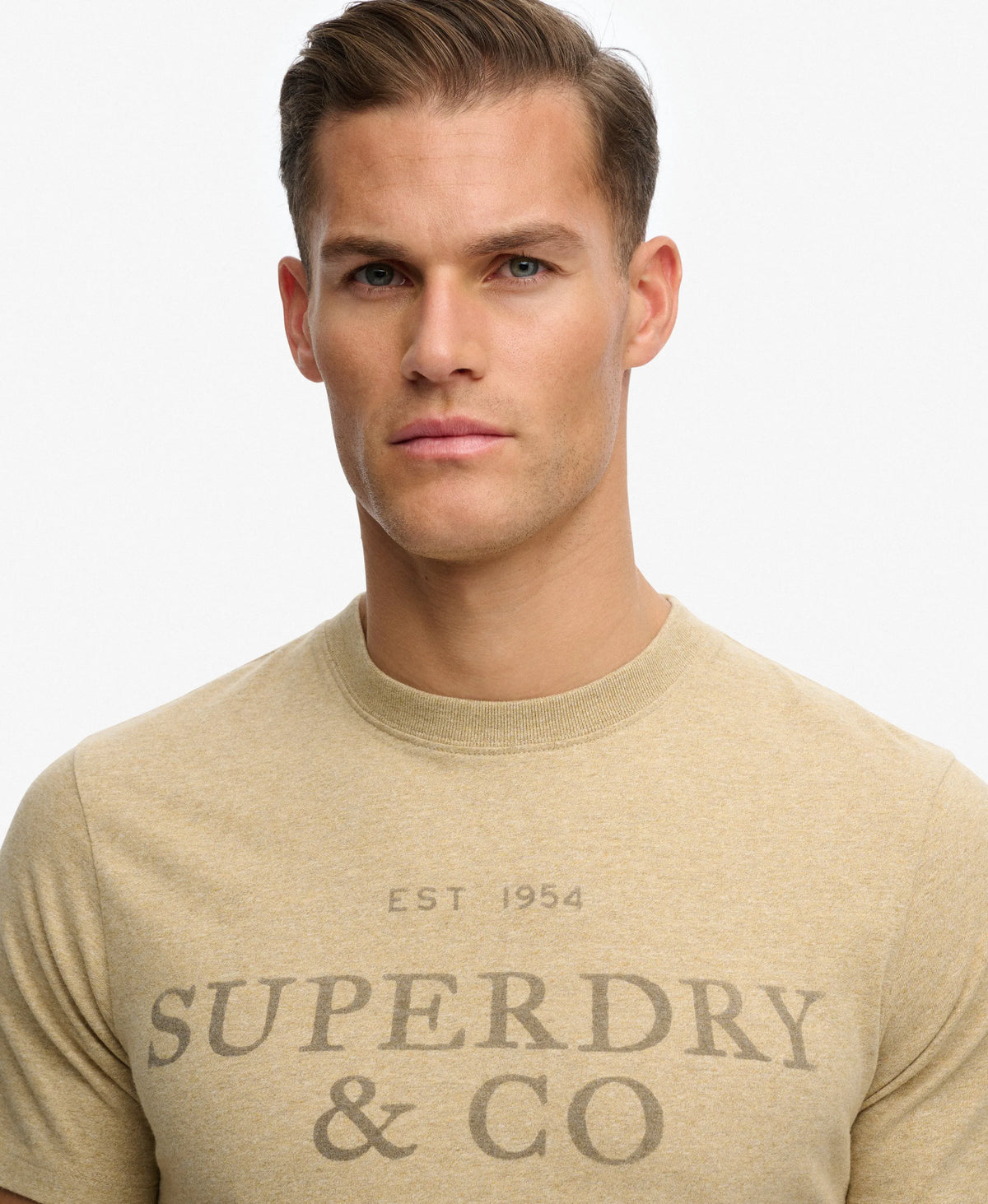 Pumice Stone Beige Marl