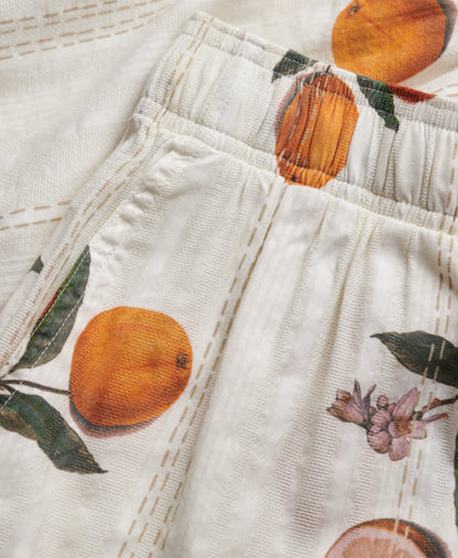 Citrus Cream Print