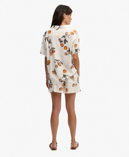Citrus Cream Print