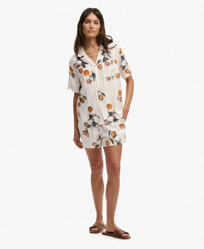 Citrus Cream Print