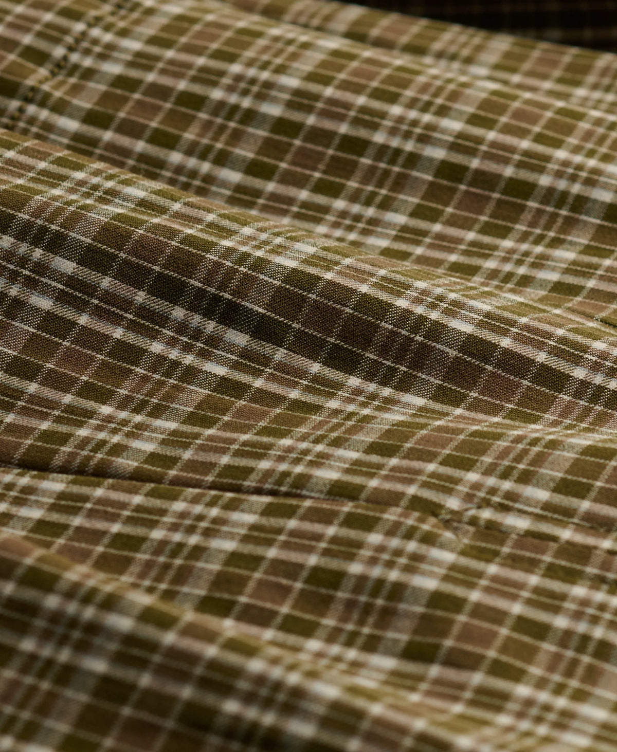 Olive Moody Check/ Black Olive