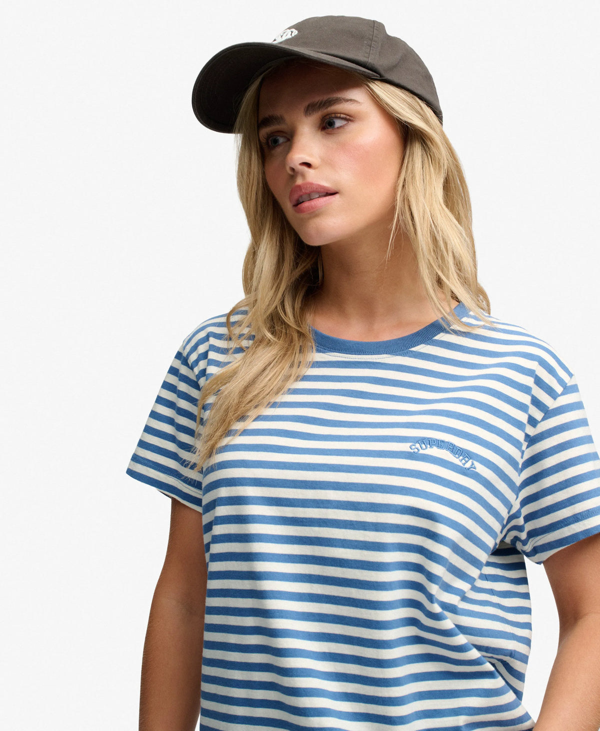 Wedgewood Blue Stripe