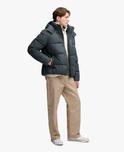Olive/Navy Check