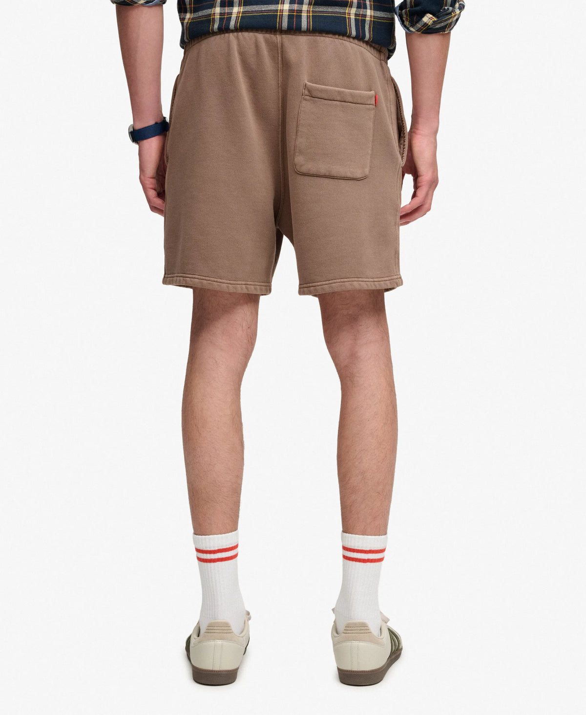 Shitake Brown