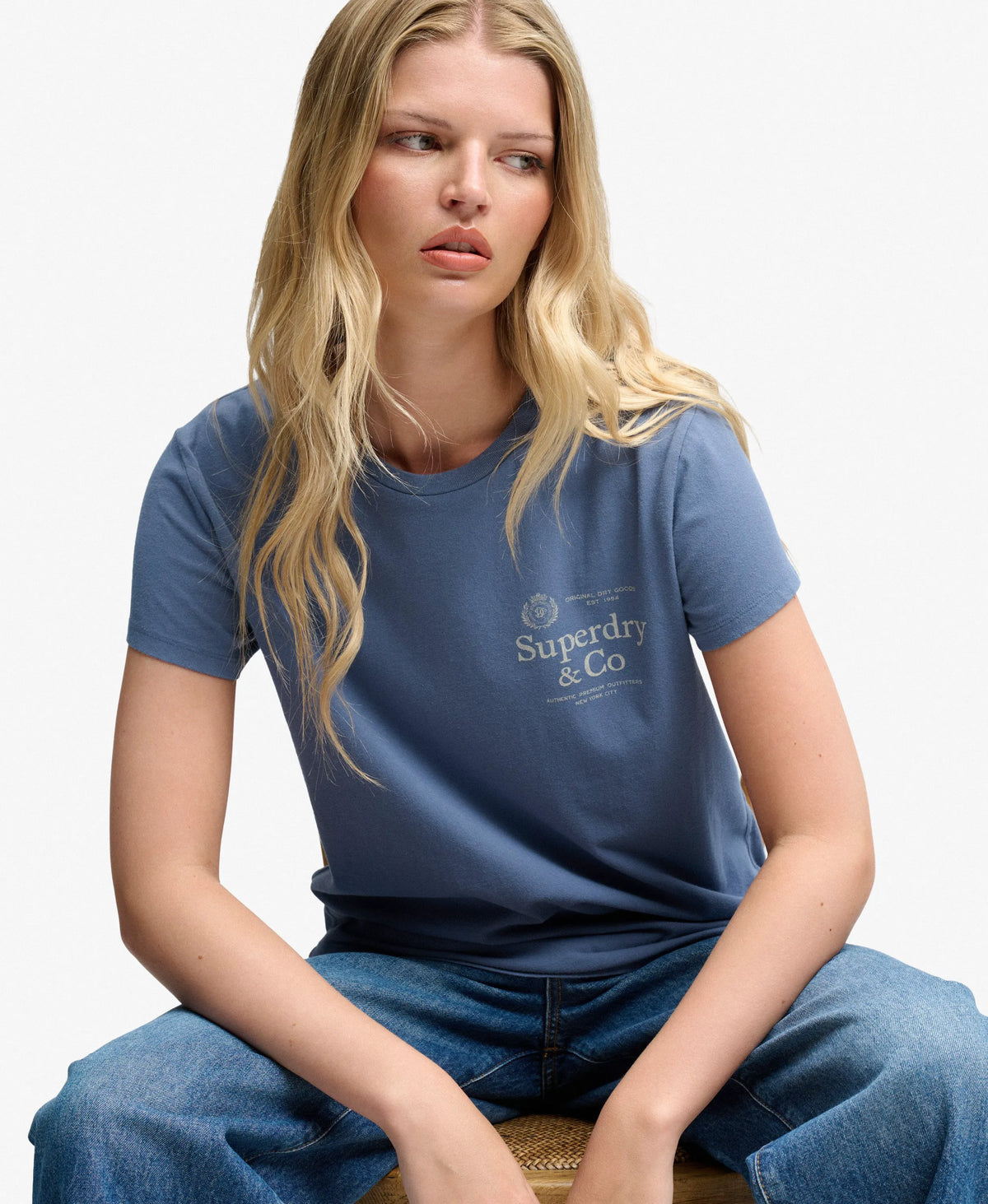Vintage Indigo