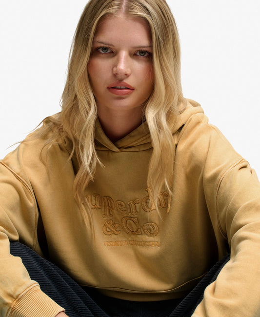 Draft Beige Brown