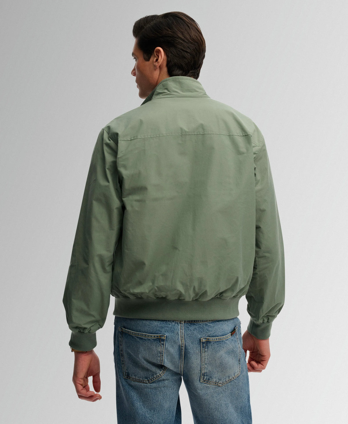 Lily Pad Green