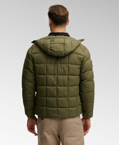 Chive Green
