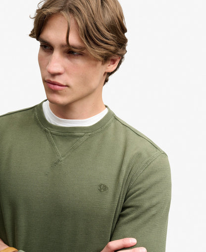 Beetle Green