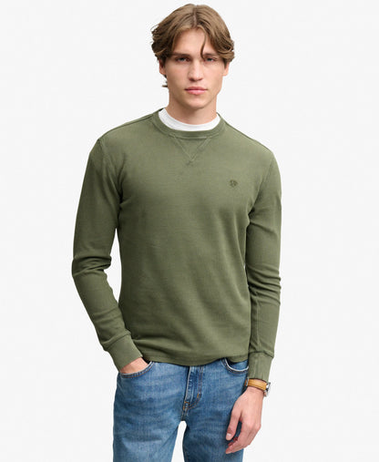 Beetle Green