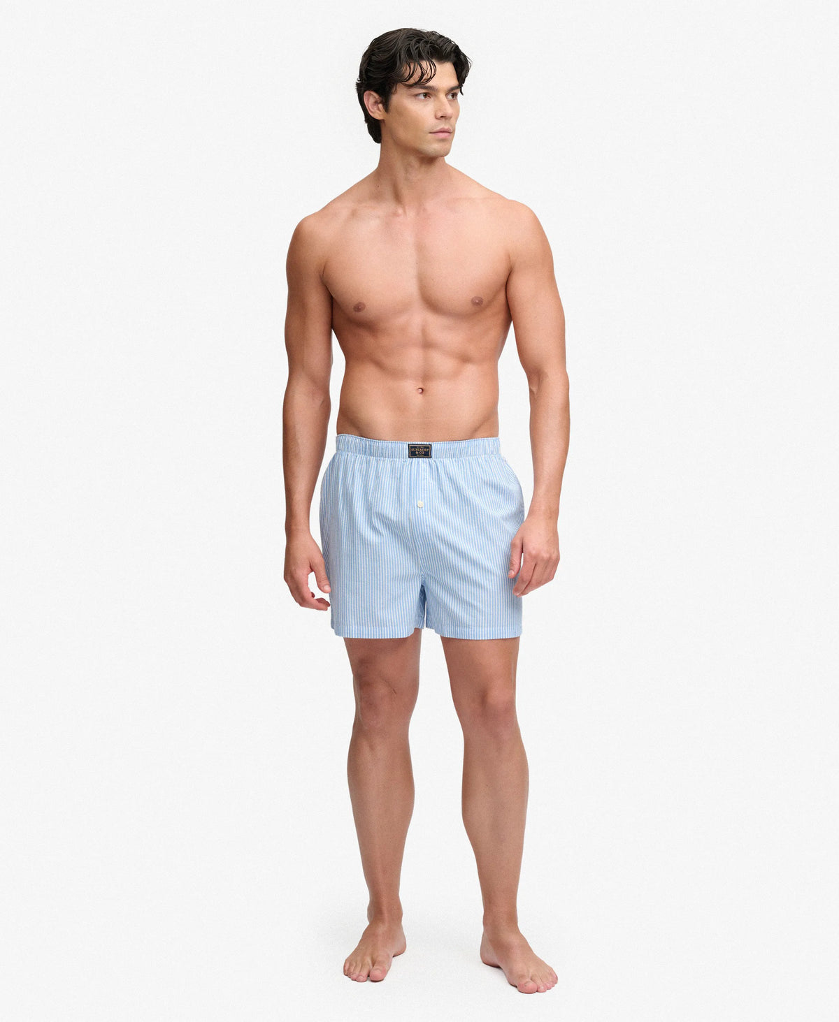 Chalk Blue Stripe