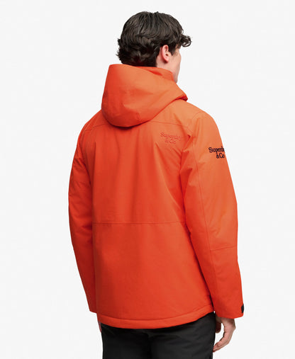 Bold Orange