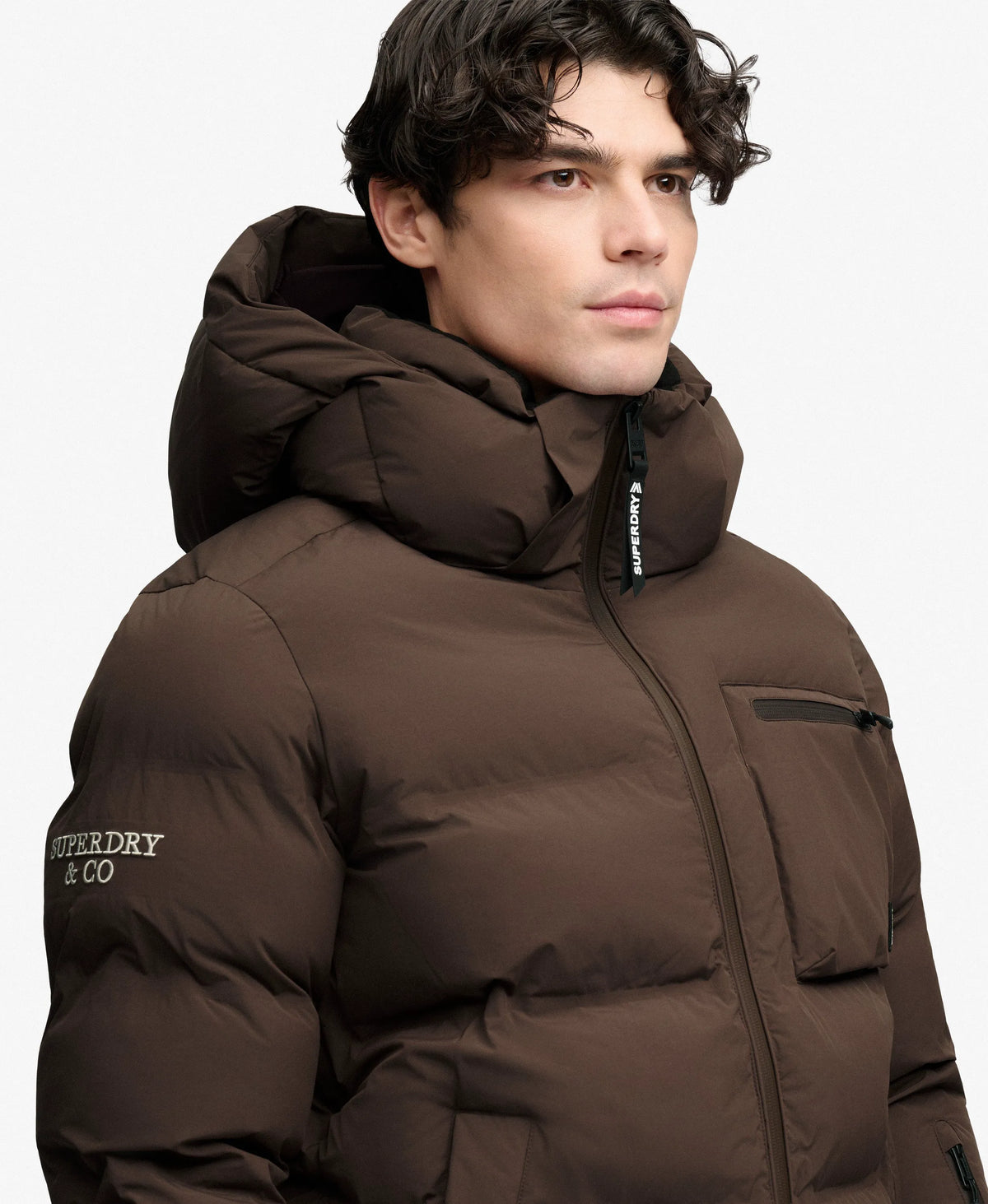 Chocolate Brown